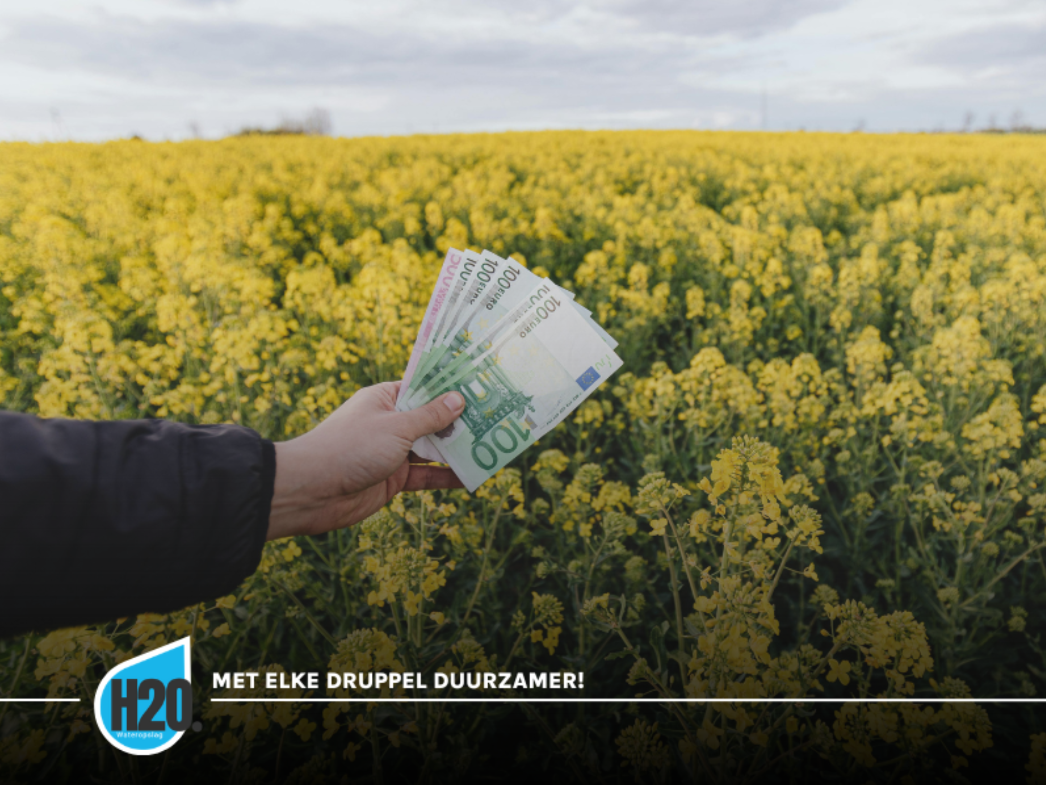 Subsidies voor het opvangen en hergebruiken van regenwater